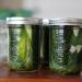homemade DIY dill cucumber pickles