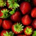 Infographic: Everything You Need to Know About Strawberries